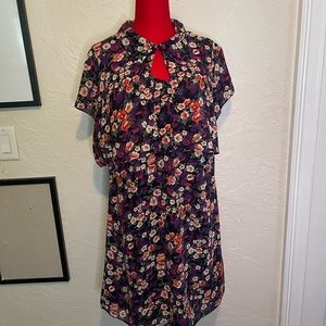 Principles Junior Dress with Shirt